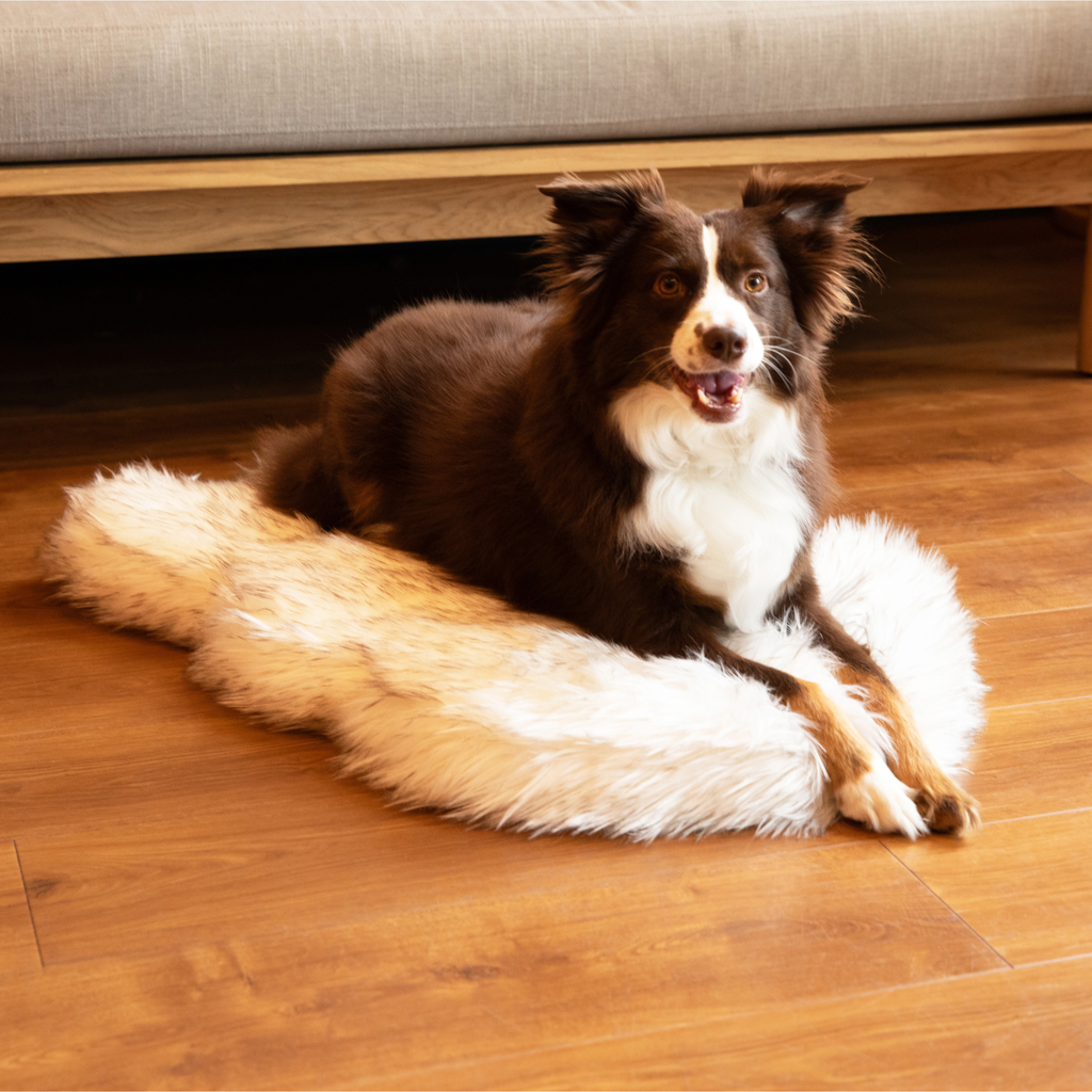 PupRug by Paw.com® Faux Fur Orthopedic Dog Bed – Curve White with Brown Accents