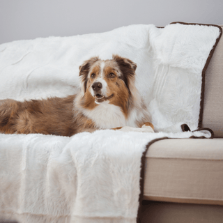 PupProtector™ Summer Short Fur Waterproof Throw Blanket – Polar White