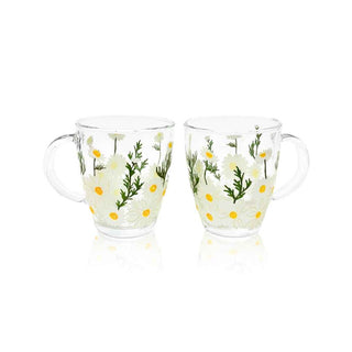 Hand-Painted Daisy Glass Mugs – Set of 2