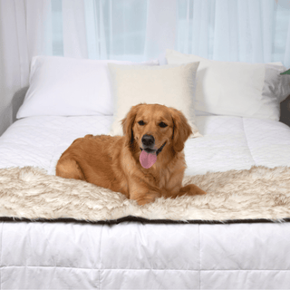 PupProtector™ Waterproof Faux Fur Bed Runner – White with Brown Accents