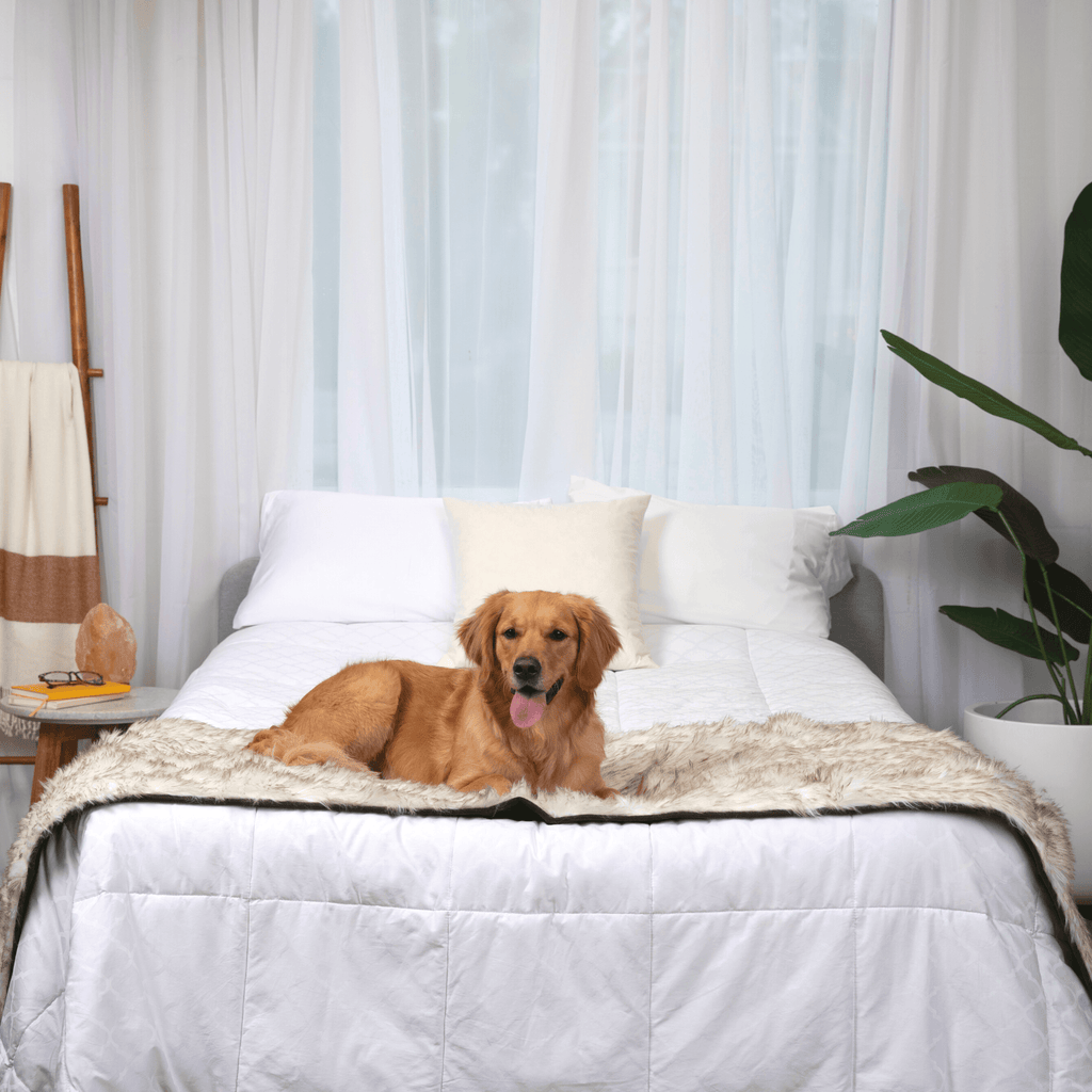 PupProtector™ Waterproof Faux Fur Bed Runner – White with Brown Accents
