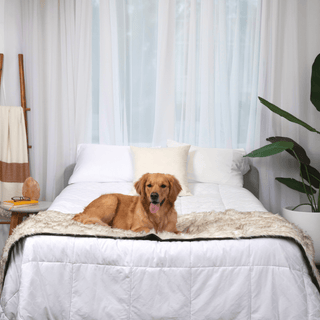 PupProtector™ Waterproof Faux Fur Bed Runner – White with Brown Accents