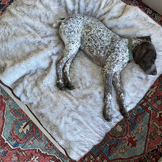 PupProtector™ Summer Short Fur Waterproof Throw Blanket – White with Brown Accents