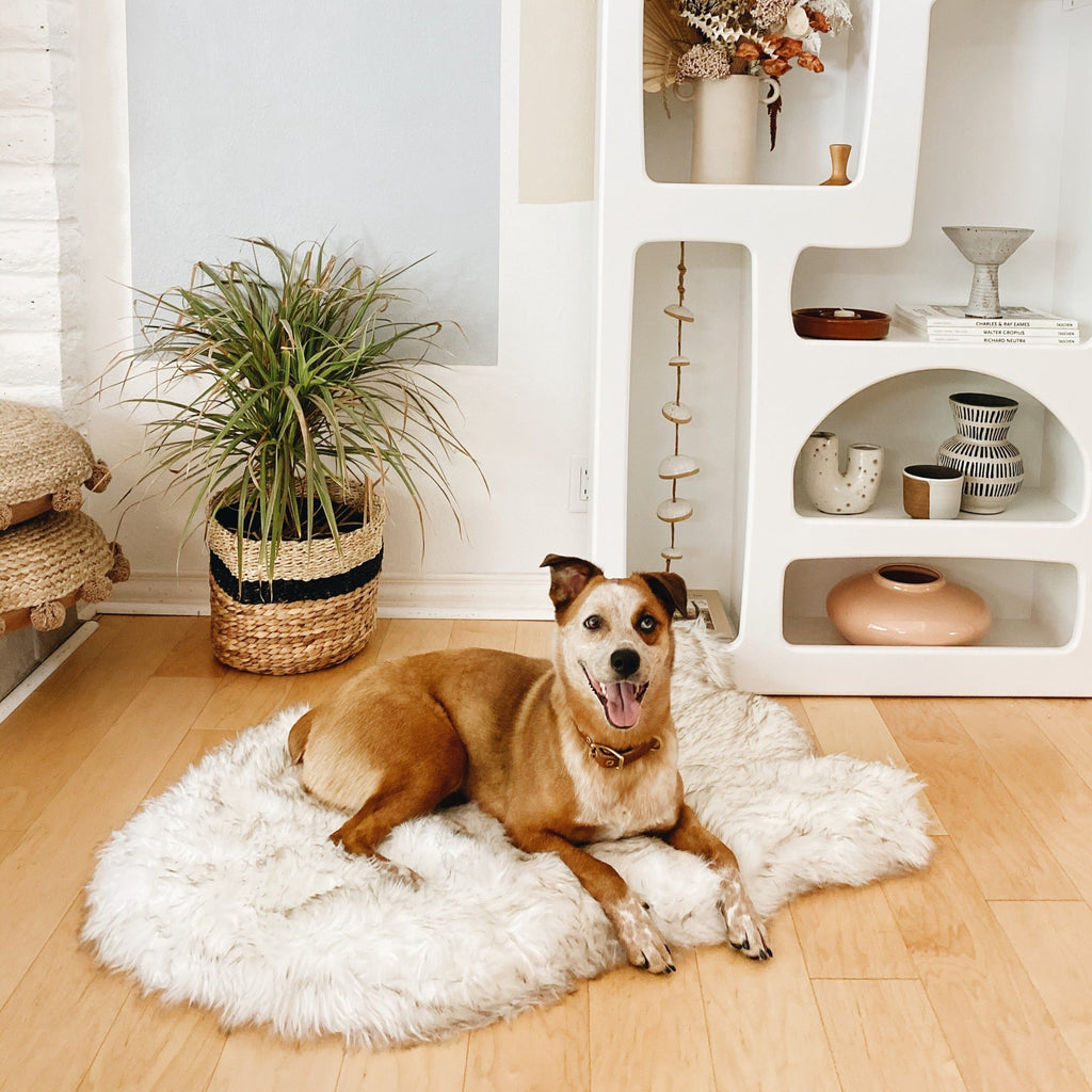 PupRug by Paw.com® Faux Fur Orthopedic Dog Bed – Curve White with Brown Accents