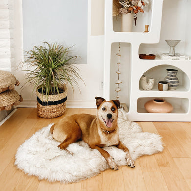 PupRug by Paw.com® Faux Fur Orthopedic Dog Bed – Curve White with Brown Accents
