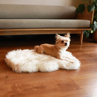 PupRug by Paw.com® Faux Fur Orthopedic Dog Bed – Curve White with Brown Accents