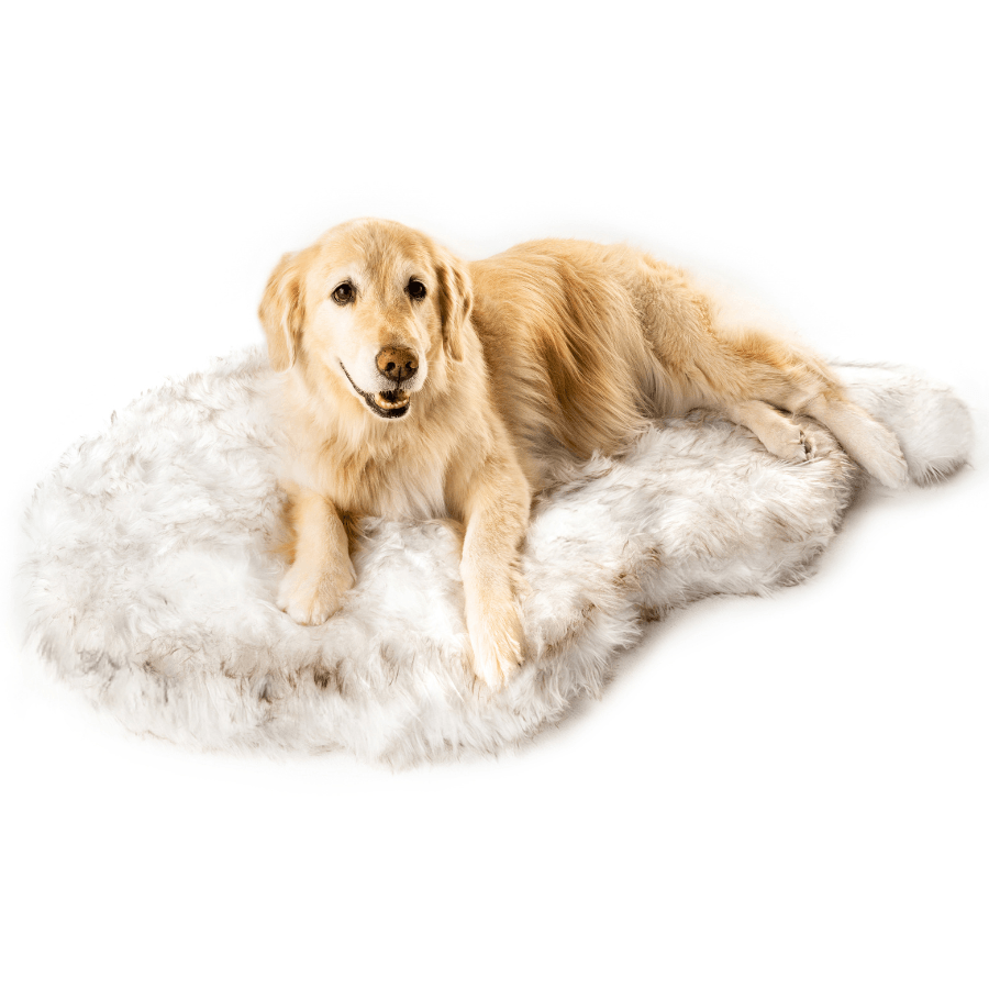 PupRug by Paw.com® Faux Fur Orthopedic Dog Bed – Curve White with Brown Accents