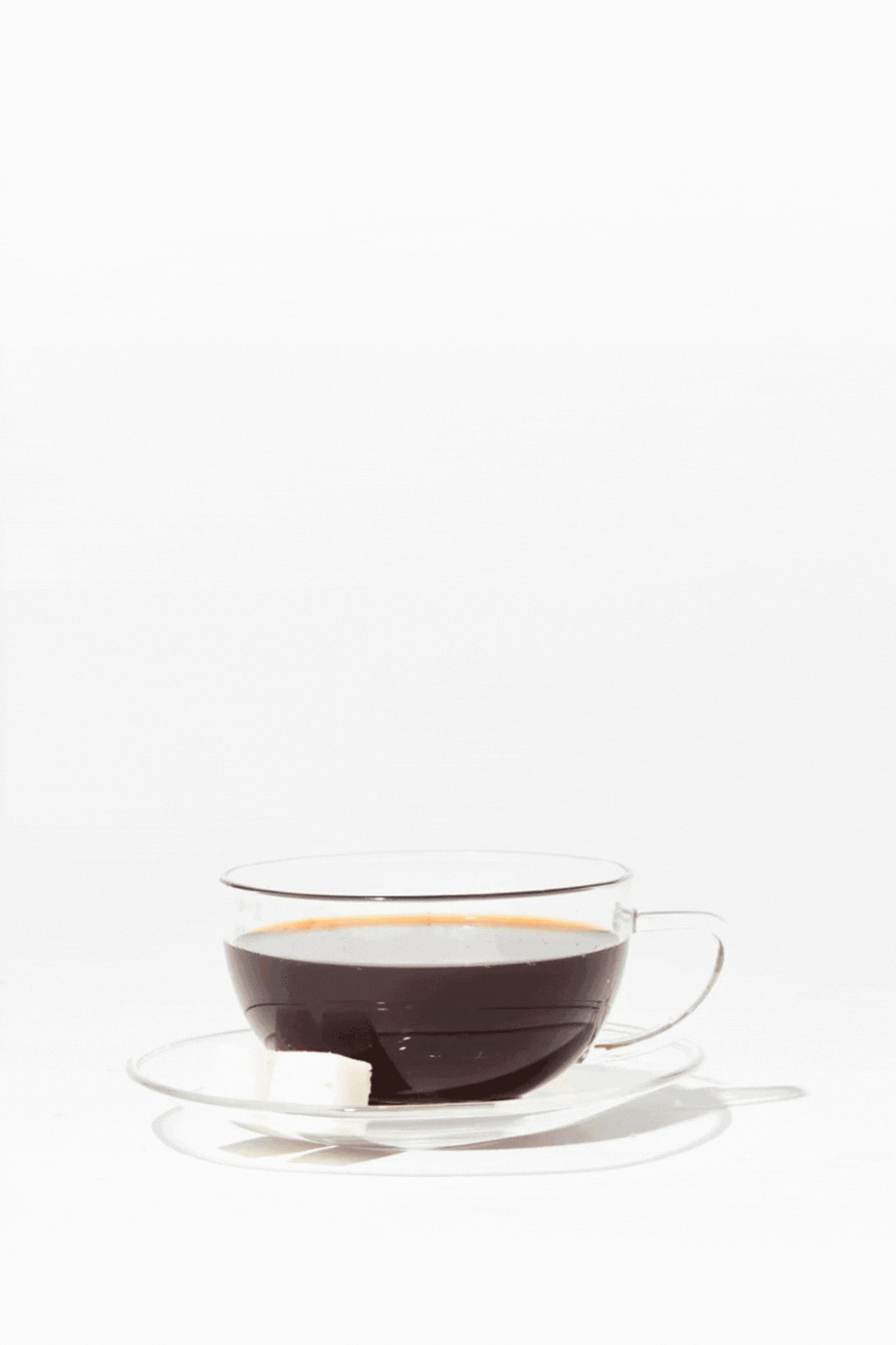 CAPE TOWN | TEA JAR