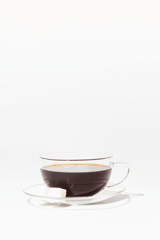 CAPE TOWN | TEA JAR