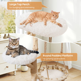 48.5-Inch Solid Pear Wood Cat Tree with Hanging Cradle and Jute Scratcher – White
