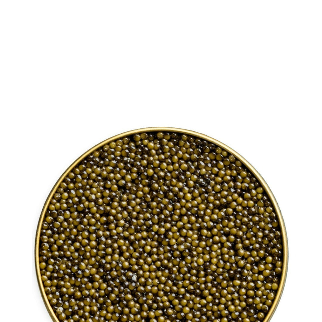 Osetra Reserve Caviar