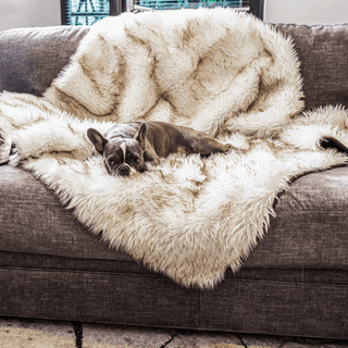 PupProtector™ Waterproof Throw Blanket – White with Brown Accents