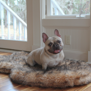 PupRug by Paw.com® Faux Fur Orthopedic Dog Bed – Curve Sable Tan