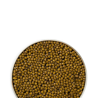 Kaluga Reserve Caviar