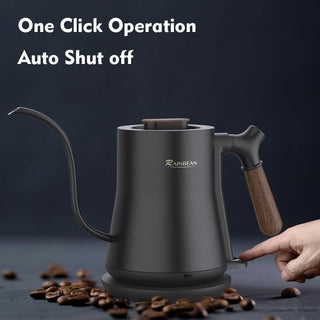 Gooseneck Electric Pour-Over Kettle – Stainless Steel Fast Boil Tea & Coffee Kettle