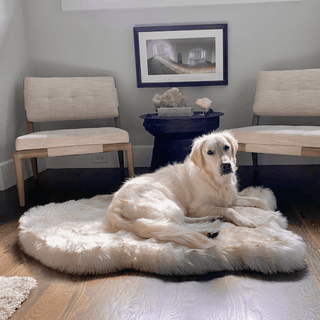 PupRug by Paw.com® Faux Fur Orthopedic Dog Bed – Curve White with Brown Accents
