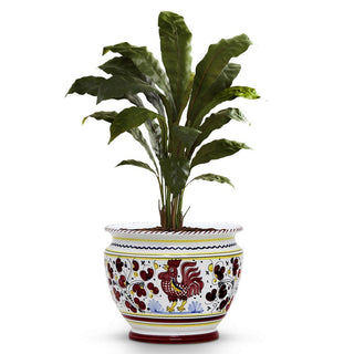 ORVIETO RED ROOSTER: Luxury Cachepot Planter Small