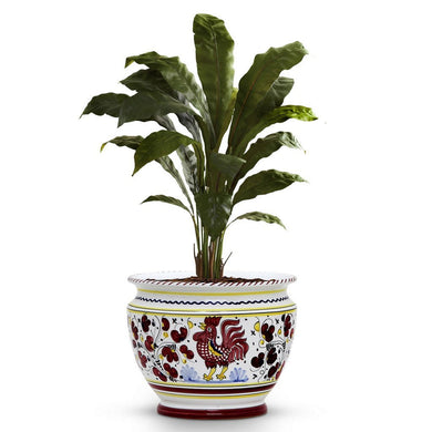 ORVIETO RED ROOSTER: Luxury Cachepot Planter Small
