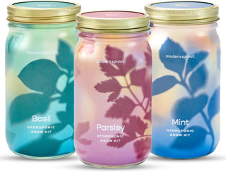 Garden Jars – Organic Herb Growing Kit