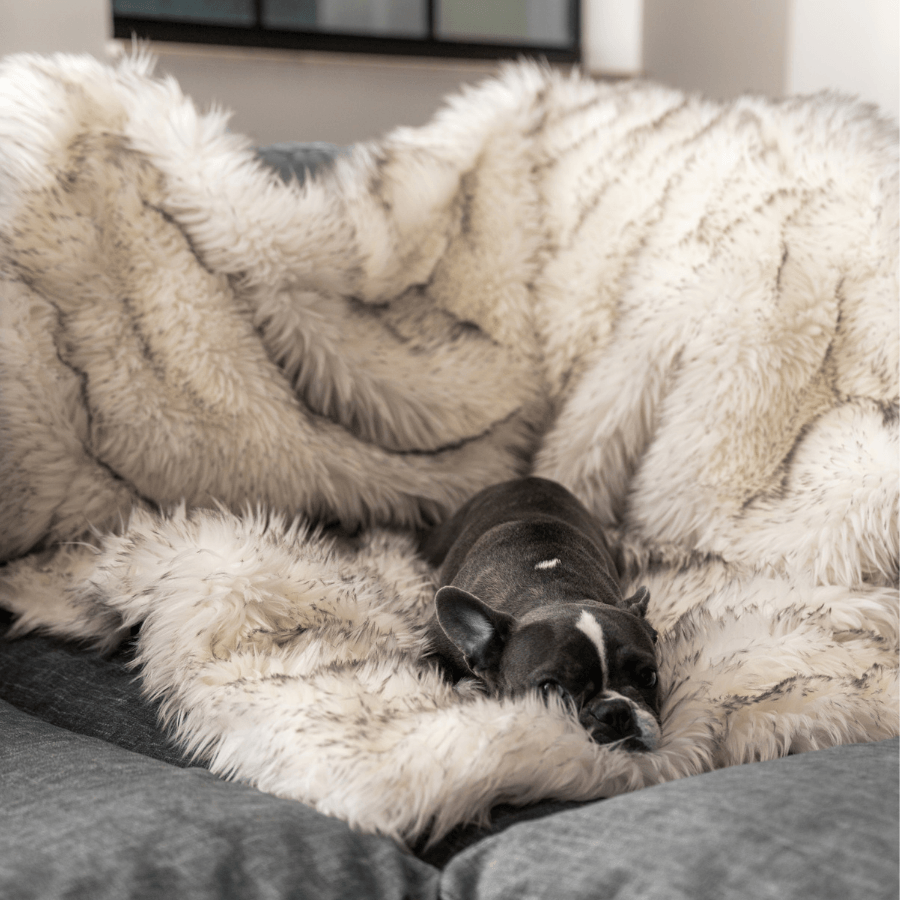 PupProtector™ Waterproof Throw Blanket – White with Brown Accents