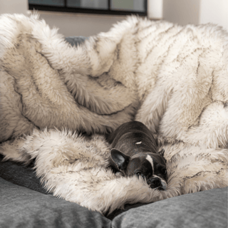 PupProtector™ Waterproof Throw Blanket – White with Brown Accents