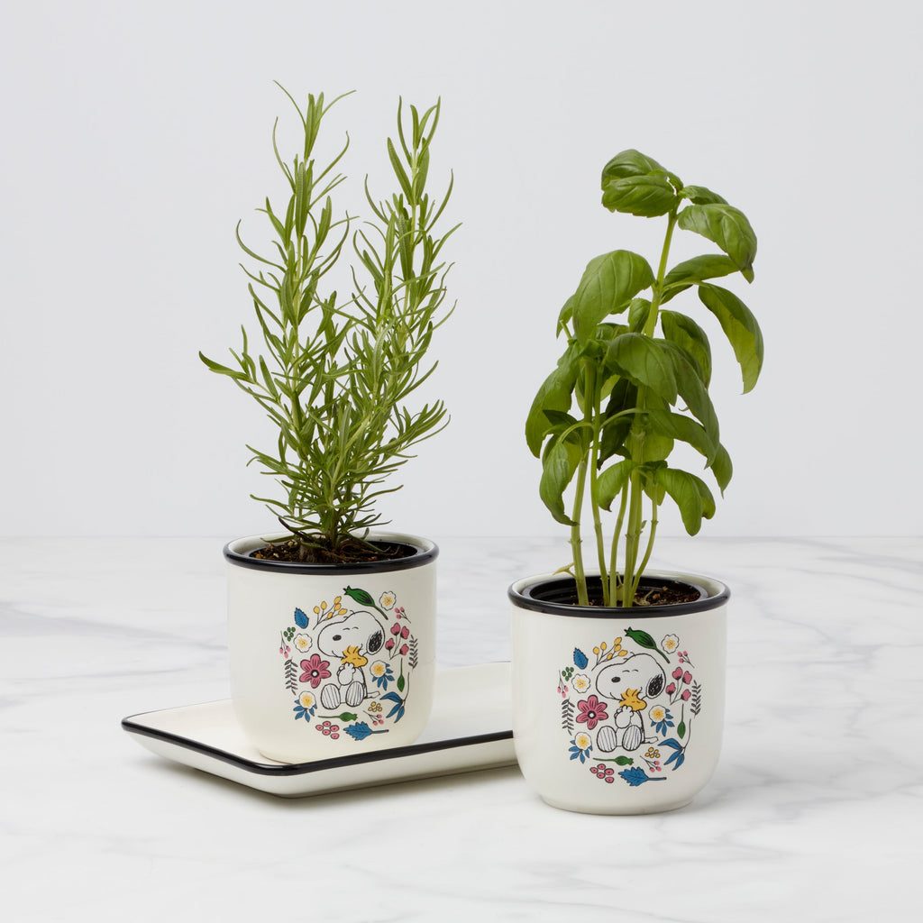Lenox Chef Snoopy Herb Pots, Set Of 3, porcelain • hand wash • includes (2) herb pots and (1) tray • each herb pot measures 4