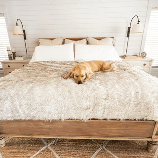 PupProtector™ Waterproof Throw Blanket – White with Brown Accents