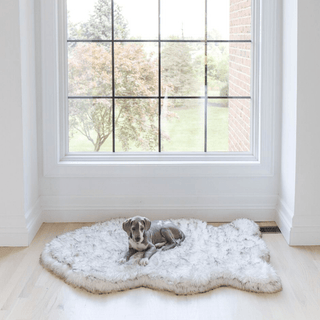 PupRug by Paw.com® Faux Fur Orthopedic Dog Bed – Curve White with Brown Accents