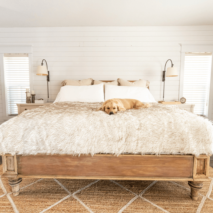 PupProtector™ Waterproof Throw Blanket – White with Brown Accents