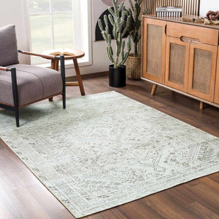 Barny Sage Flat Pile Washable Rug – Soft Modern Area Carpet for Home