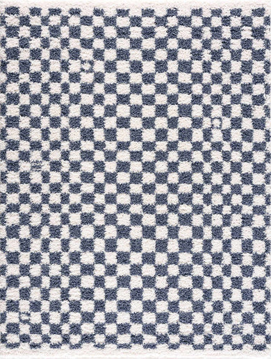 Kieu Blue White Checkered Area Rug – Modern Patterned Washable Carpet