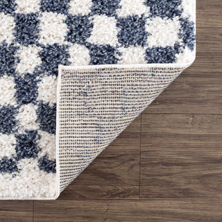 Kieu Blue White Checkered Area Rug – Modern Patterned Washable Carpet