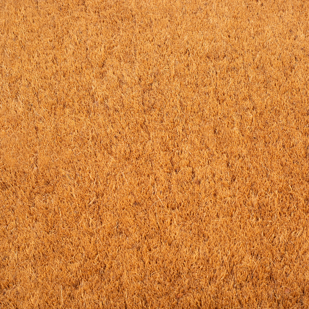 Black Border Natural Coir Doormat