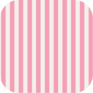 Shell Collector Coastal Coasters – Set of 4