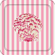 Shell Collector Coastal Coasters – Set of 4