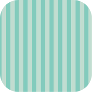 Shell Collector Coastal Coasters – Set of 4