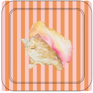 Shell Collector Coastal Coasters – Set of 4