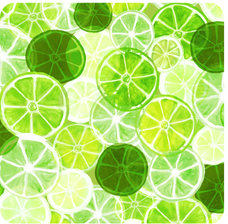 Elegant Squeeze The Day Citrus Coasters – Set of 4