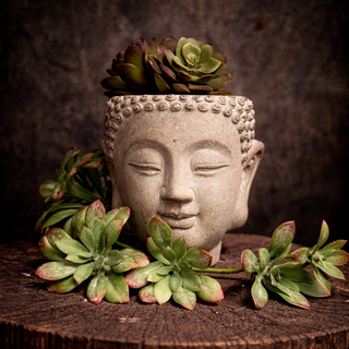 Wall-Mounted Cement Buddha Head Planter