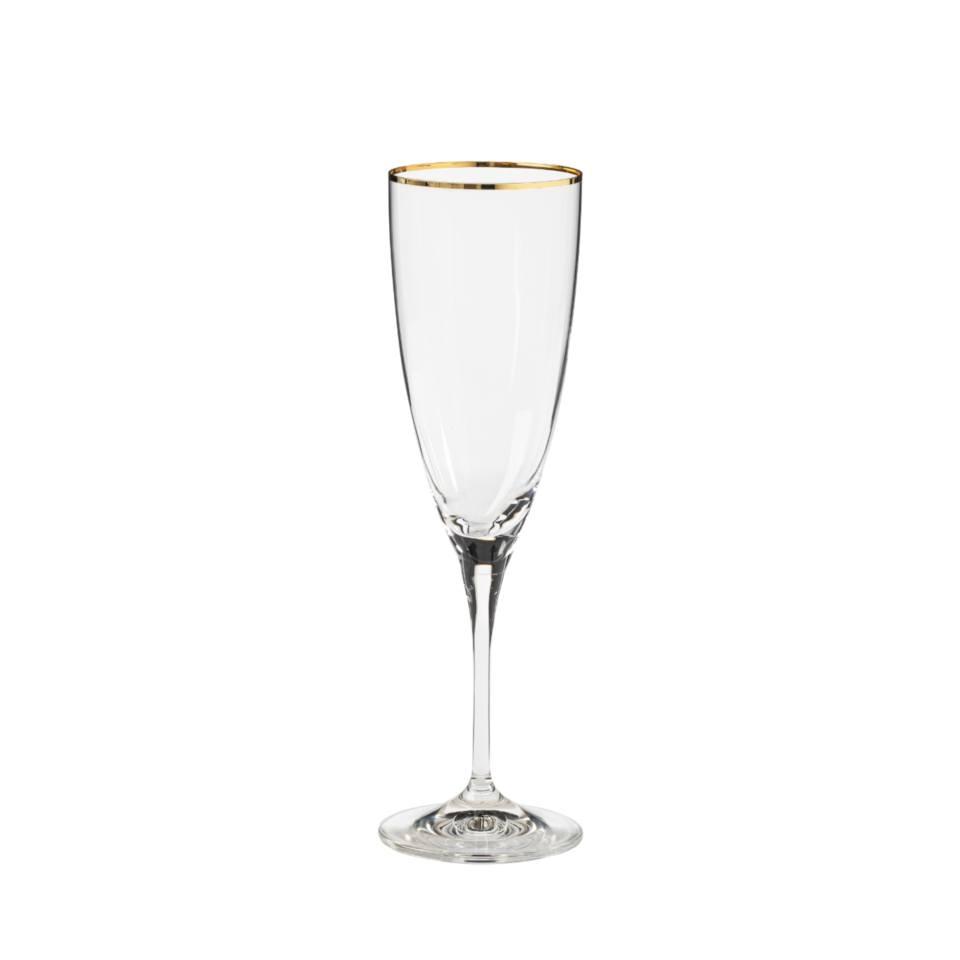 COSTA NOVA Sensa Flute 8 oz., Clear / Clear with Golden Rim – Sophisticated Champagne Glass for Celebrations