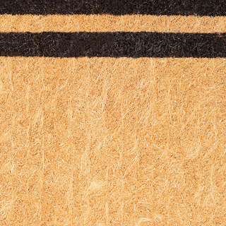 Double Black Border Natural Coir Doormat