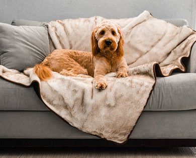 PupProtector™ Summer Short Fur Waterproof Throw Blanket – White with Brown Accents