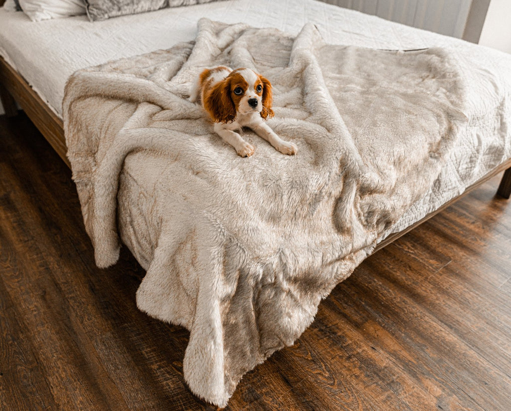 PupProtector™ Summer Short Fur Waterproof Throw Blanket – White with Brown Accents
