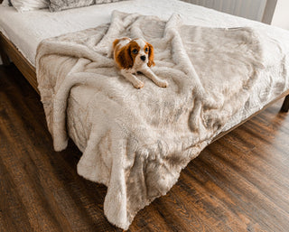 PupProtector™ Summer Short Fur Waterproof Throw Blanket – White with Brown Accents