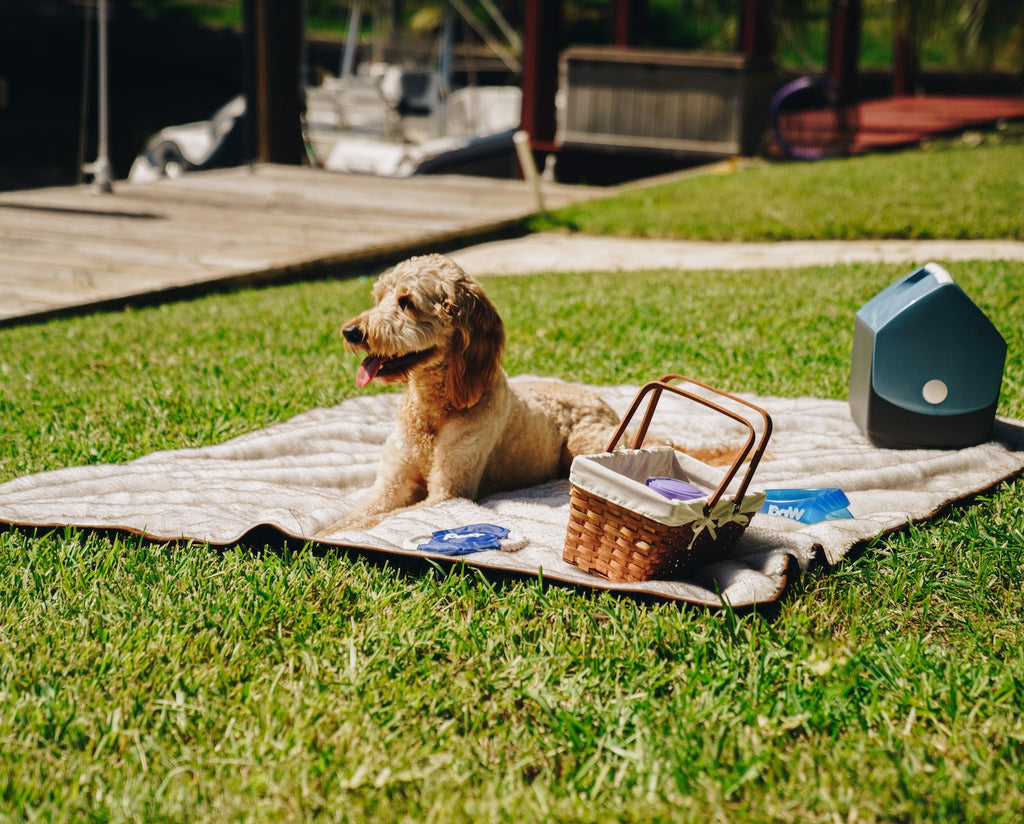 PupProtector™ Summer Short Fur Waterproof Throw Blanket – White with Brown Accents