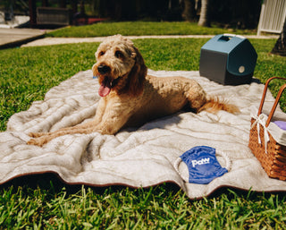 PupProtector™ Summer Short Fur Waterproof Throw Blanket – White with Brown Accents