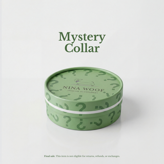 Eco-Friendly Vegan Dog Collar | Modern, Comfortable Pet Collar