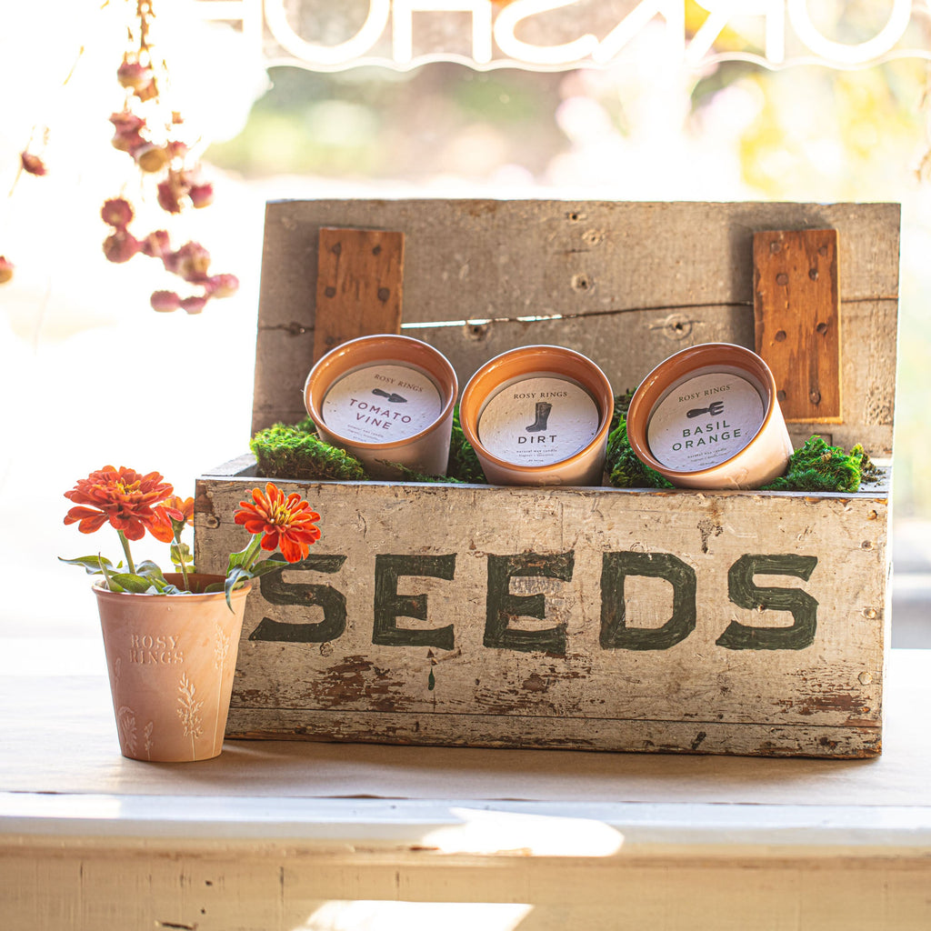 Basil Orange Garden Pot Candle with Plantable Seed Paper Dust Cover