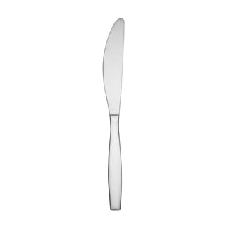 Oneida Satin Bond Dinner Knife, stainless steel