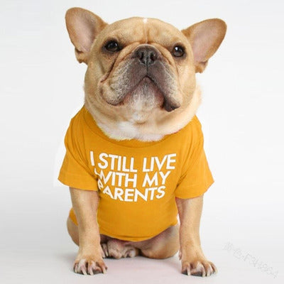 “I Still Live With My Parents” Pet T-Shirt – Soft Cotton Dog & Cat Tee